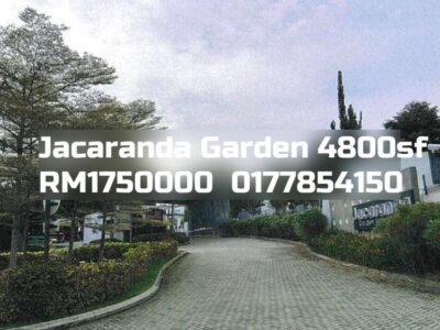 Jacaranda Garden