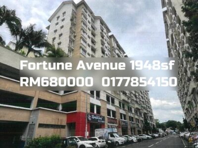Fortune Avenue