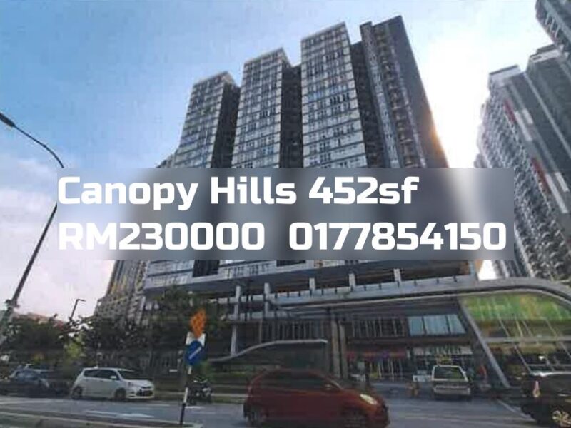 Canopy Hills