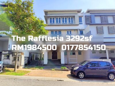 The Rafflesia