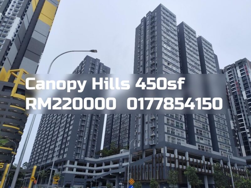 Canopy Hills
