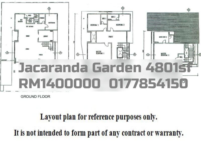 Jacaranda Garden