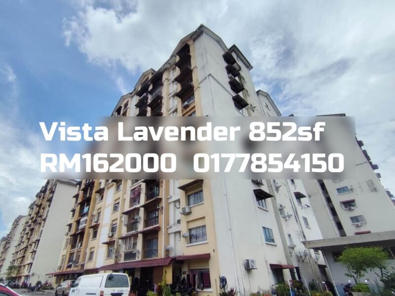 Vista Lavender