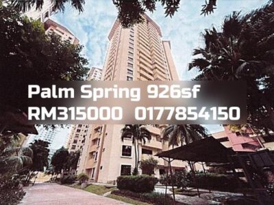 Palm Spring