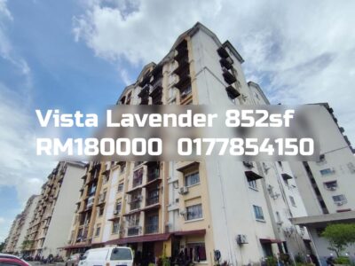 Vista Lavender