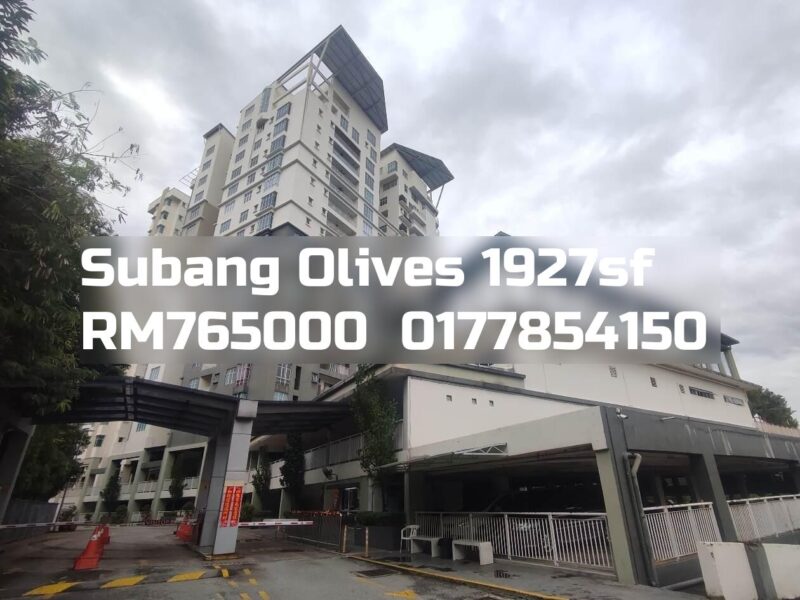 Subang Olives