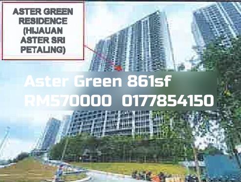 Aster Green
