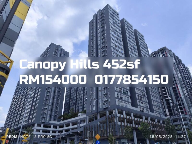 Canopy Hills