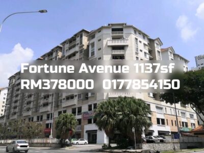 Fortune Avenue