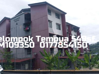 Kelompok Tempua