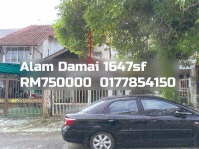 Alam Damai