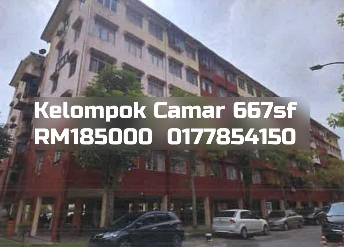 Kelompok Camar