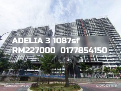 ADELIA 3