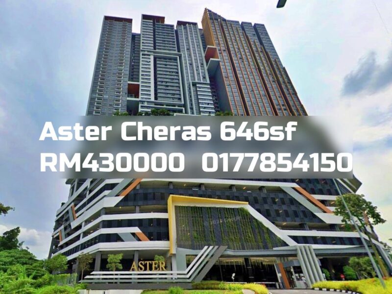 Aster Cheras