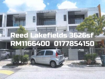 Reed Lakefields