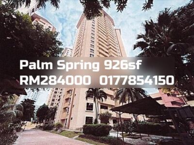 Palm Spring