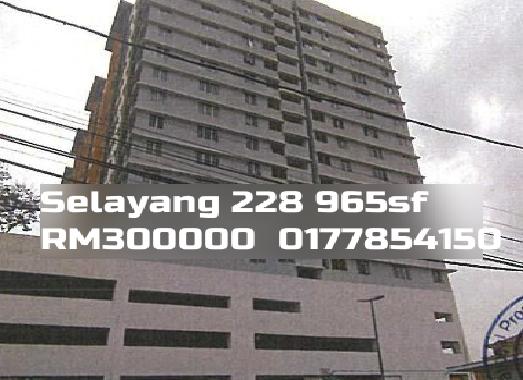 Selayang 228