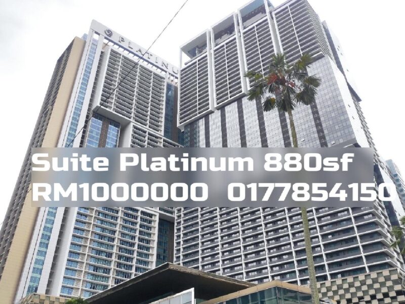Suite Platinum