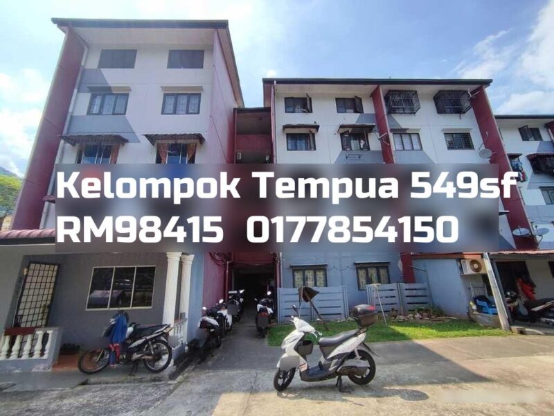 Kelompok Tempua
