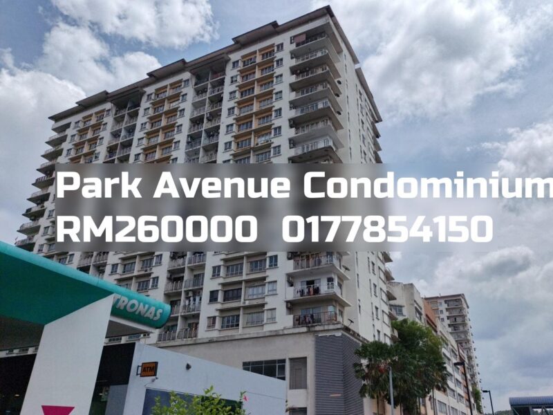 Park Avenue Condominium