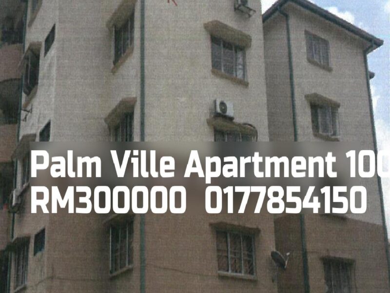 Palm Ville Apartment