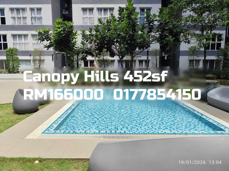 Canopy Hills