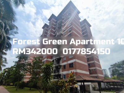 Forest Green Apartment