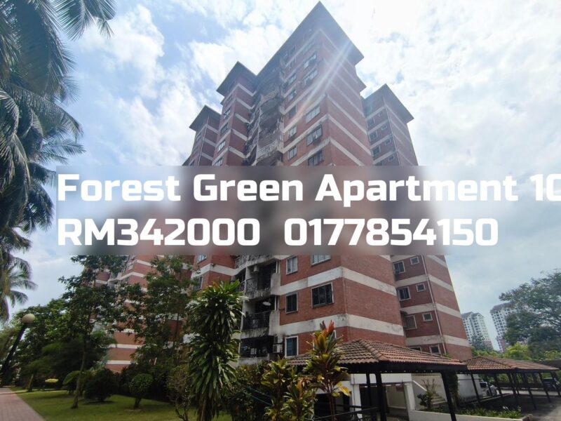 Forest Green Apartment