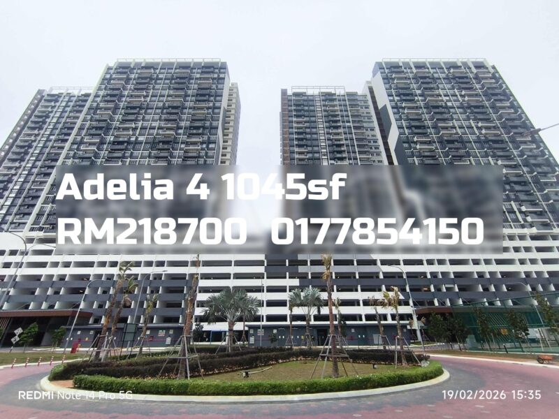 Adelia 4