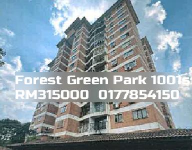 Forest Green Park