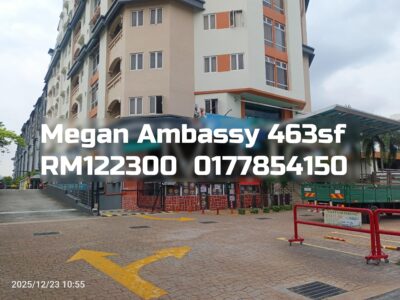 Megan Ambassy