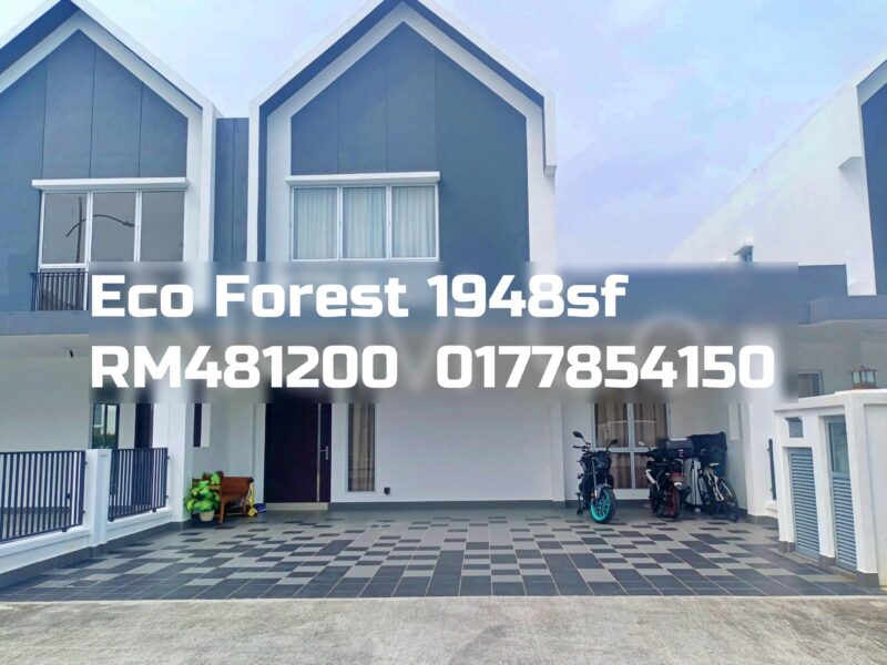Eco Forest
