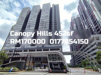 Canopy Hills
