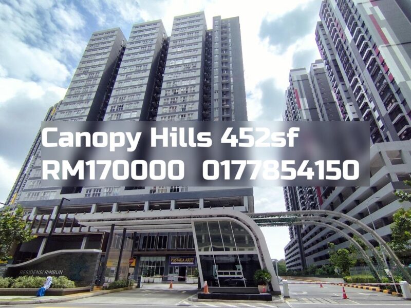 Canopy Hills