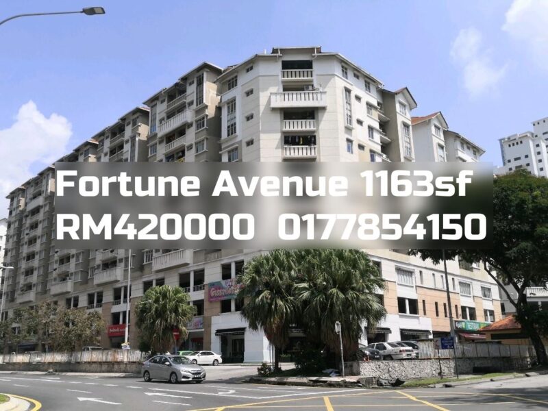 Fortune Avenue