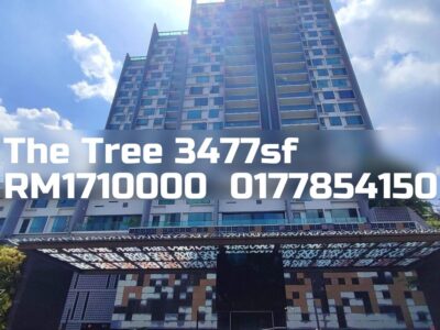 The Tree