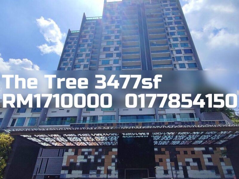 The Tree