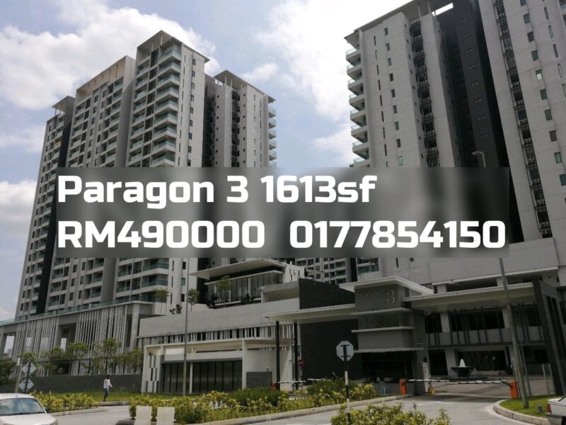 Paragon 3