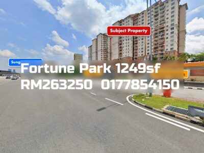 Fortune Park