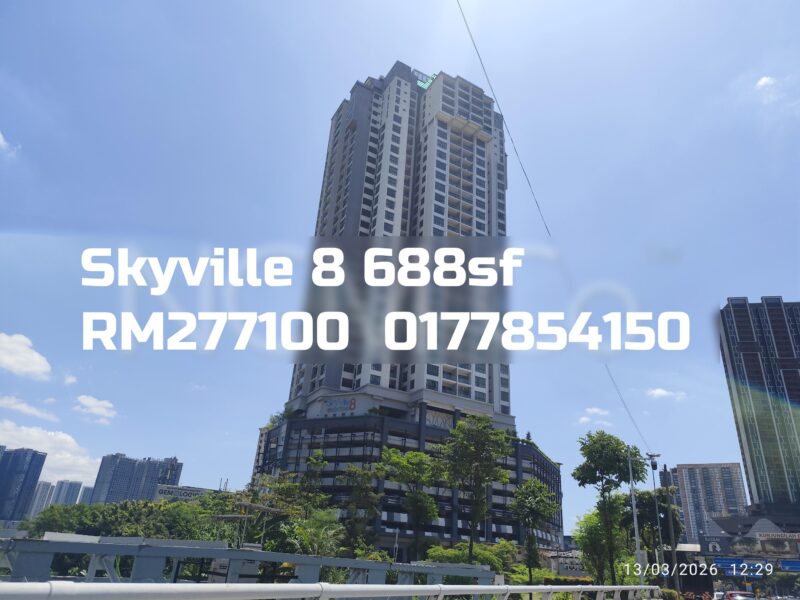 Skyville 8