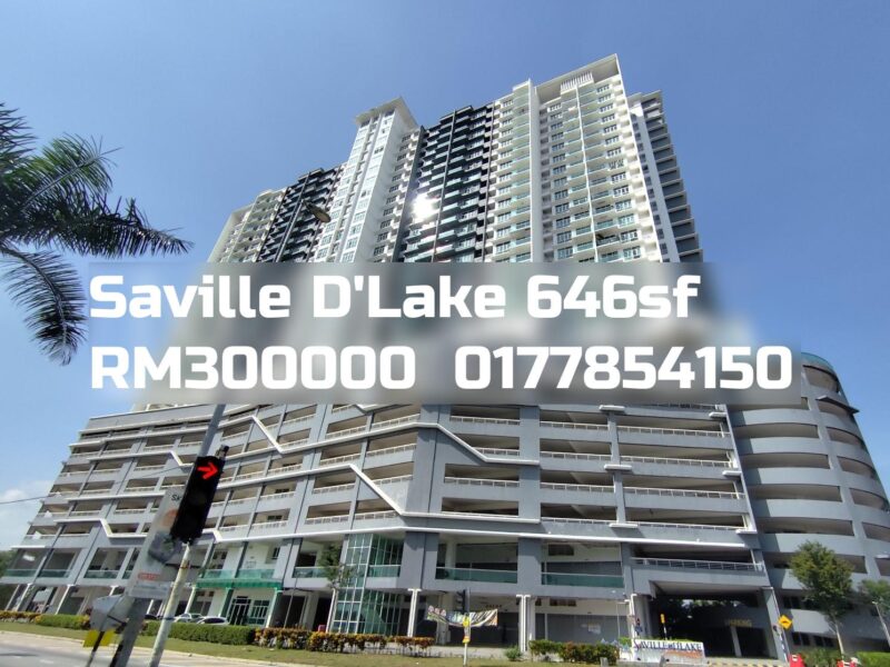 Saville D'Lake