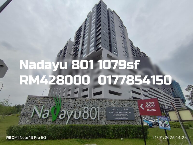 Nadayu 801