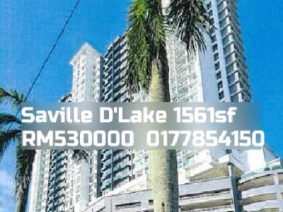 Saville D'Lake