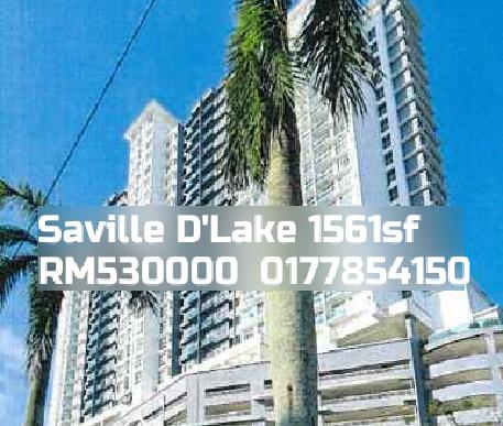 Saville D'Lake