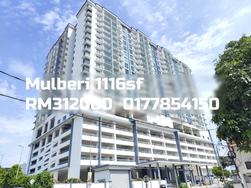 Mulberi