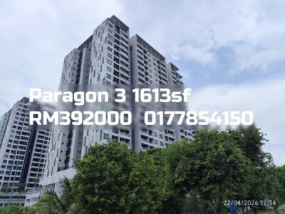 Paragon 3
