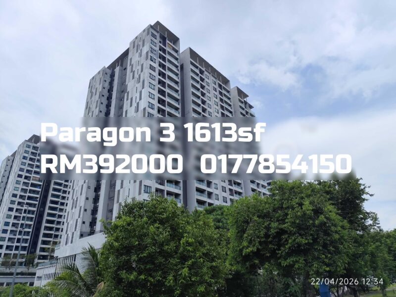 Paragon 3