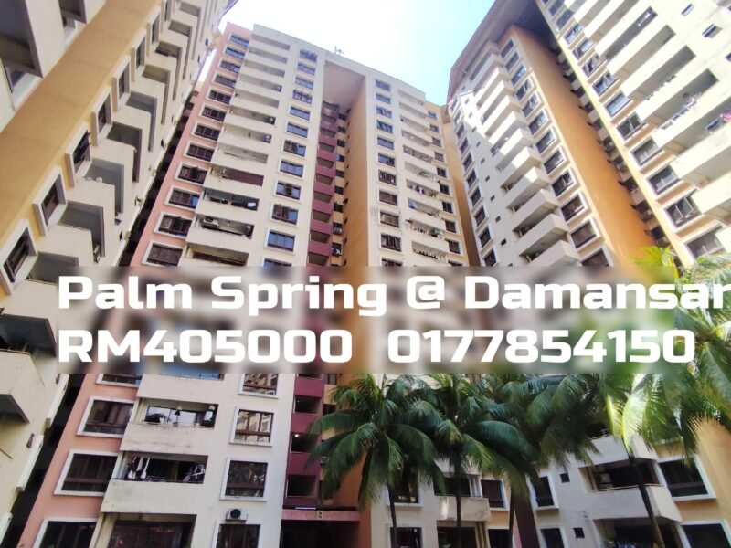 Palm Spring @ Damansara