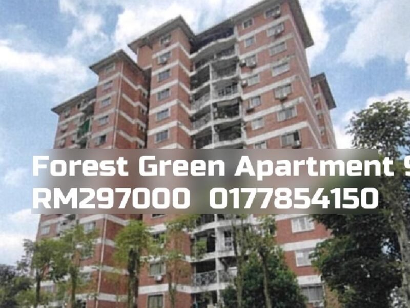 Forest Green Apartment