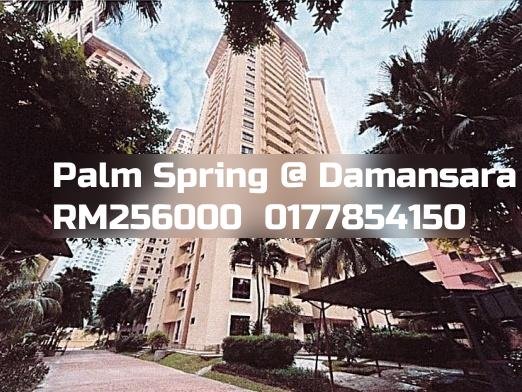 Palm Spring @ Damansara